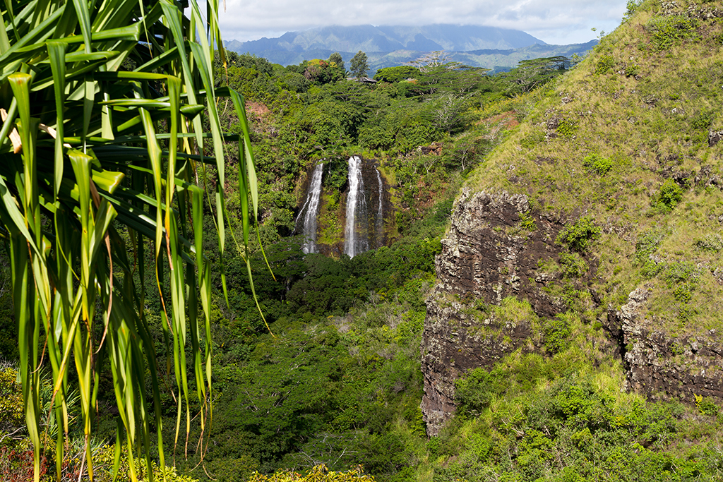 Kauai - 052.jpg